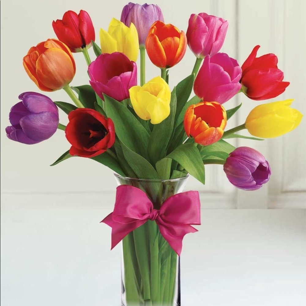 Meet your Posher, Mary jane